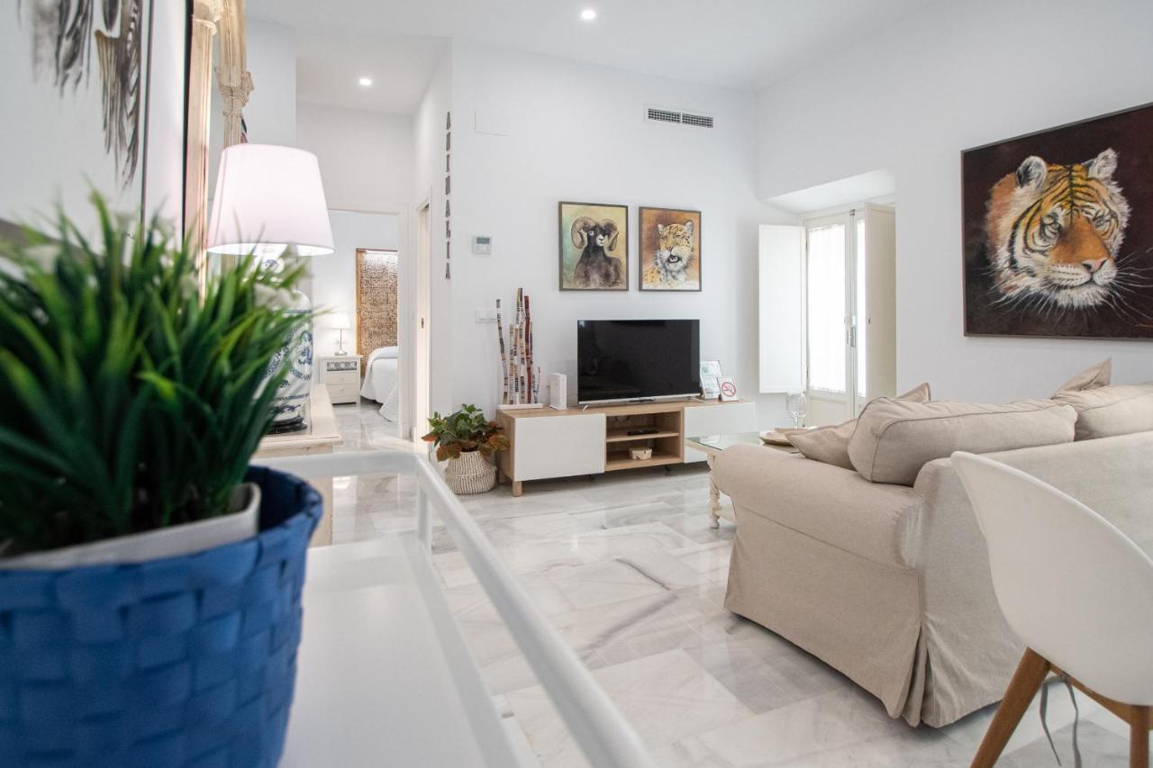 Apartamento Animalia Cadiz Ngoại thất bức ảnh