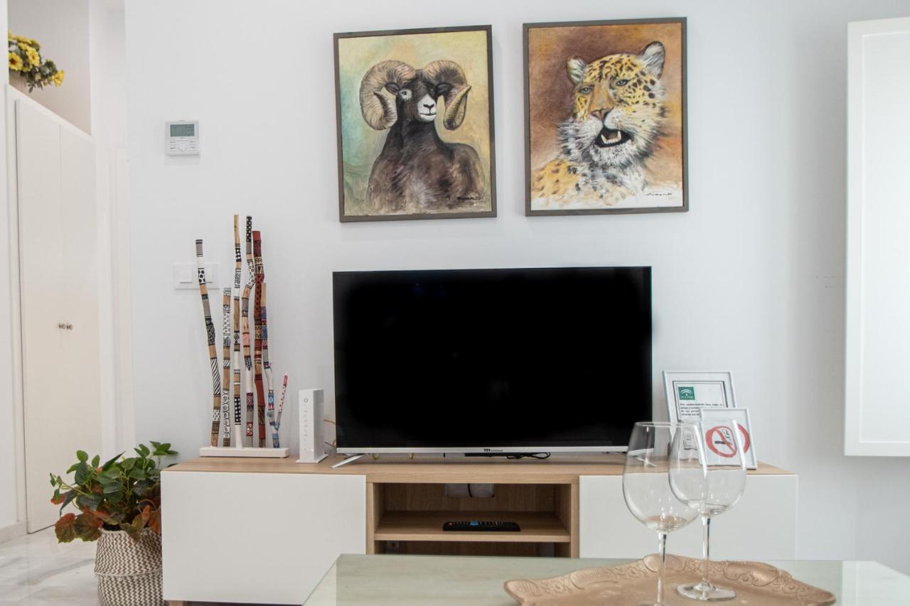 Apartamento Animalia Cadiz Ngoại thất bức ảnh