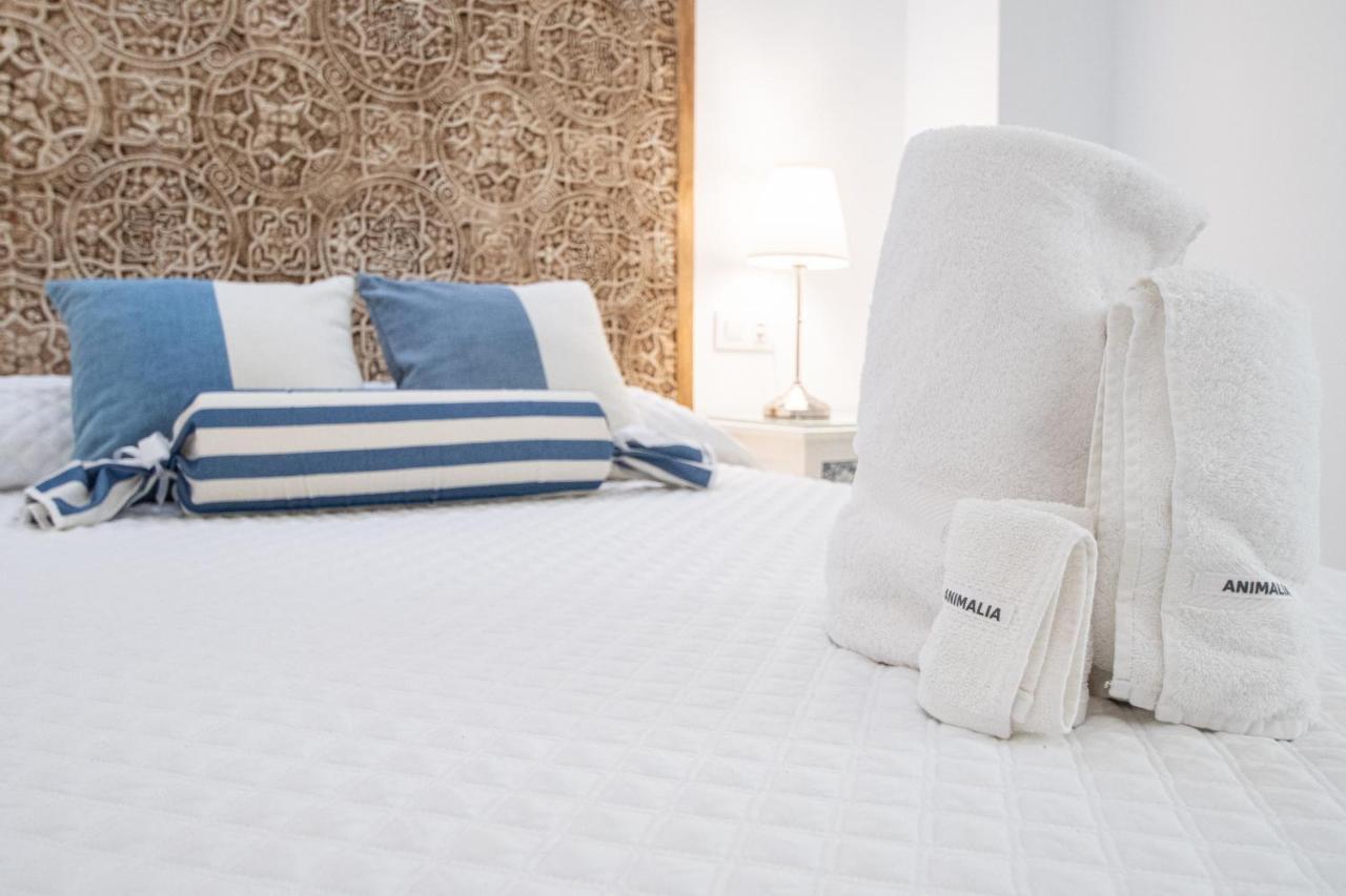 Apartamento Animalia Cadiz Ngoại thất bức ảnh