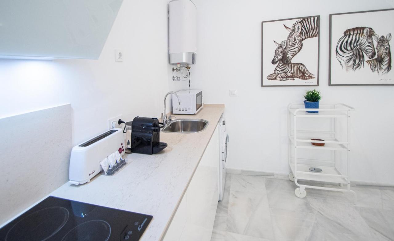 Apartamento Animalia Cadiz Ngoại thất bức ảnh