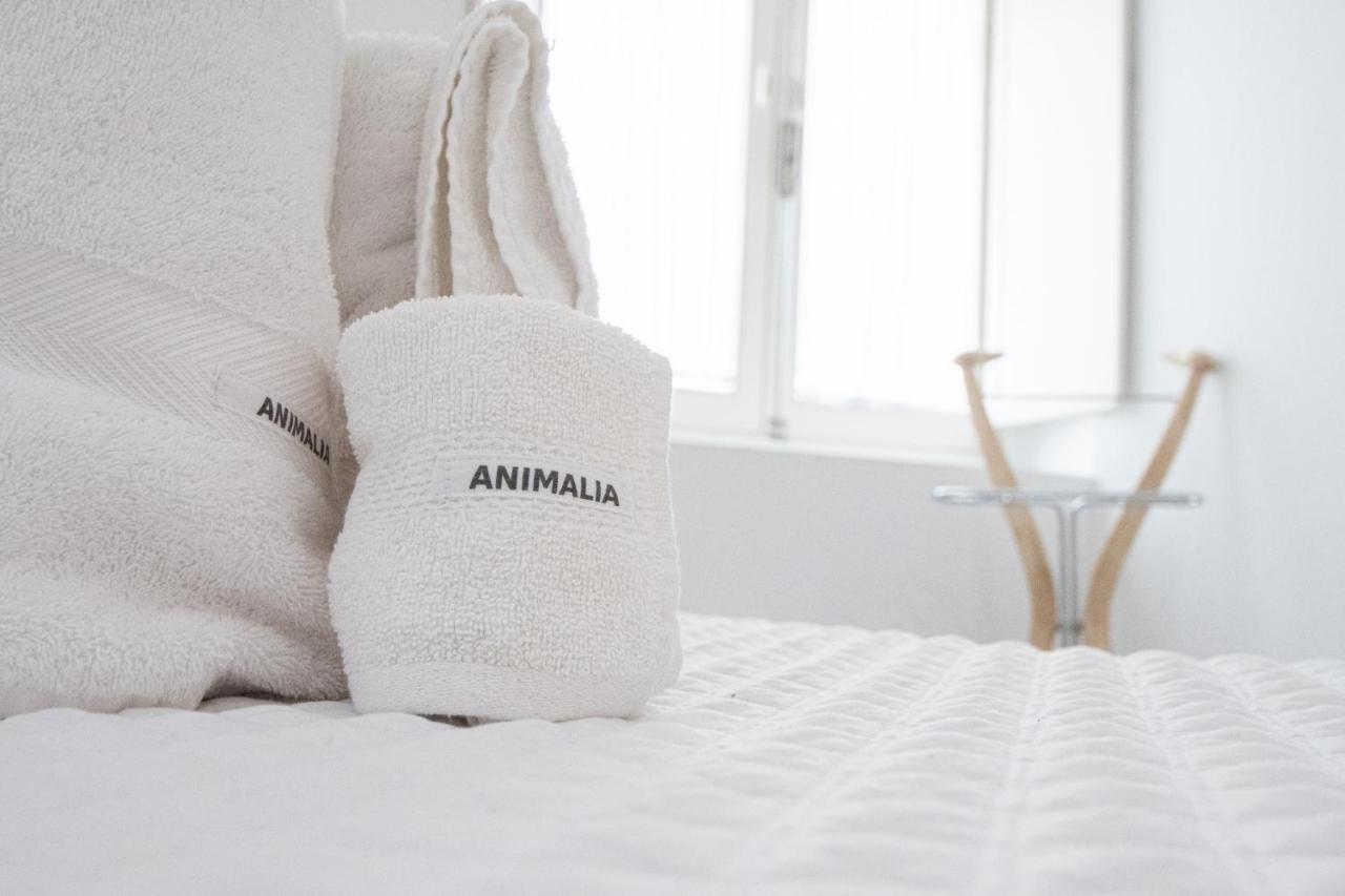 Apartamento Animalia Cadiz Ngoại thất bức ảnh