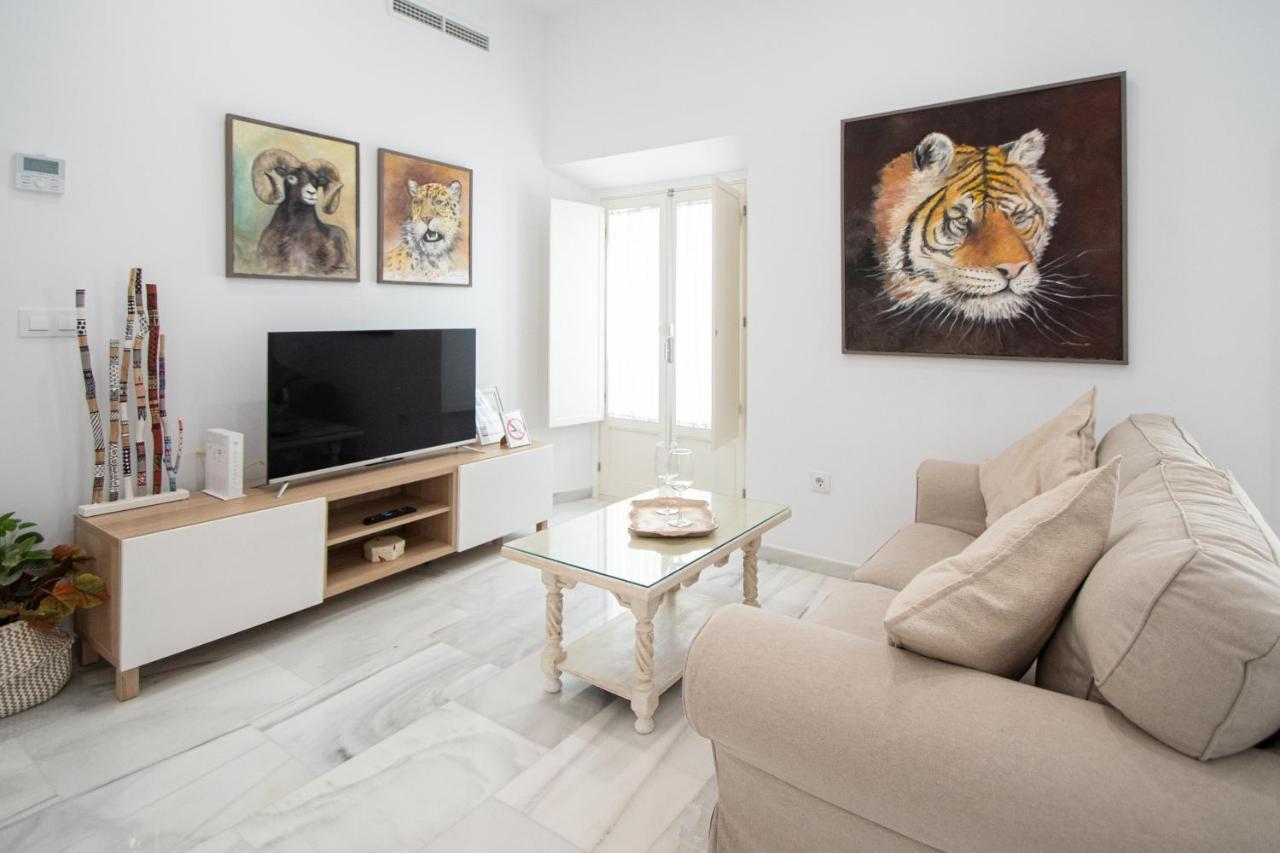 Apartamento Animalia Cadiz Ngoại thất bức ảnh